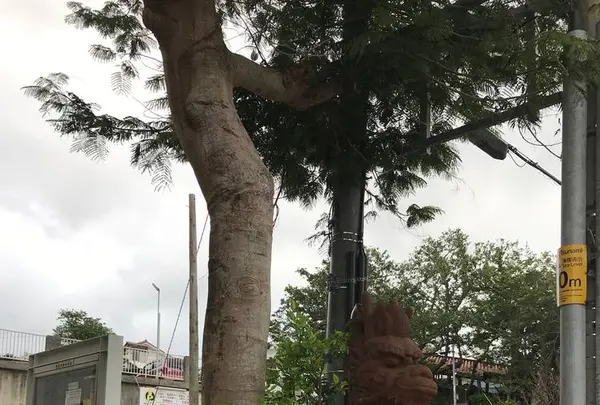 壺屋やちむん通りの写真・動画_image_530728