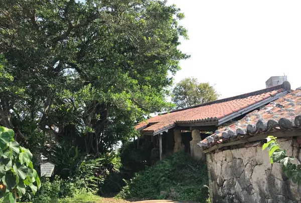 壺屋やちむん通りの写真・動画_image_530730