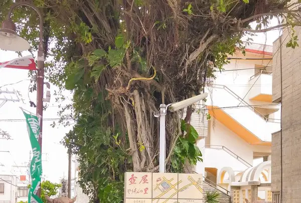 壺屋やちむん通りの写真・動画_image_530731