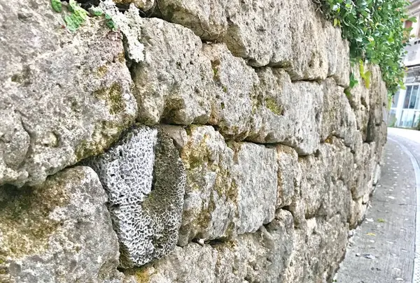 壺屋やちむん通りの写真・動画_image_530733