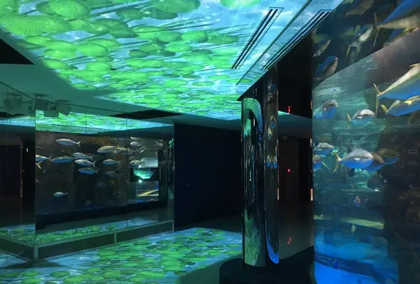のとじま水族館　の写真・動画_image_530803