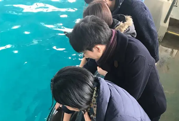 のとじま水族館　の写真・動画_image_530804