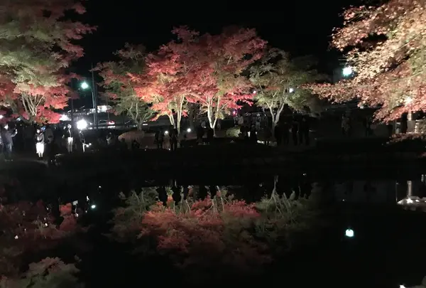 曽木公園の写真・動画_image_530850
