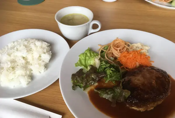 めだか食堂の写真・動画_image_530855