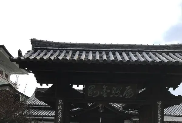 國分寺の写真・動画_image_530915