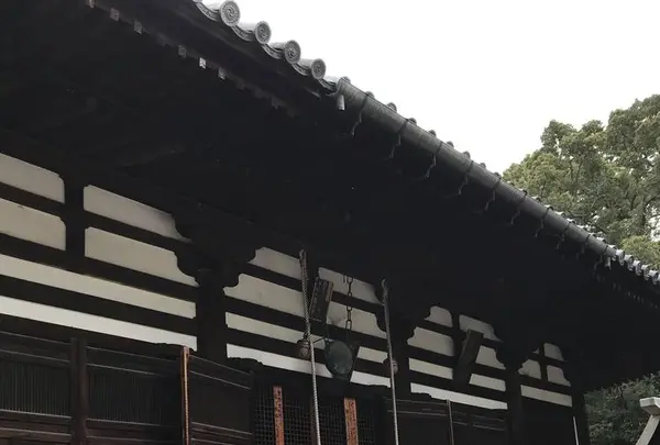 國分寺の写真・動画_image_530916
