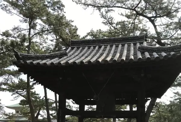 國分寺の写真・動画_image_530918