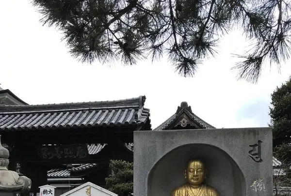 國分寺の写真・動画_image_530919