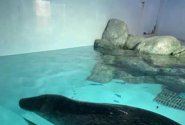 豊橋総合動植物公園 (のんほいパーク)の写真・動画_image_533578