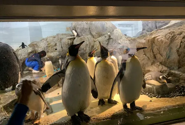 豊橋総合動植物公園 (のんほいパーク)の写真・動画_image_533580