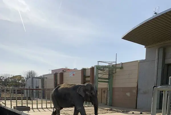 豊橋総合動植物公園 (のんほいパーク)の写真・動画_image_533582