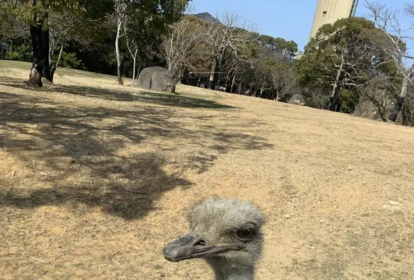 豊橋総合動植物公園 (のんほいパーク)の写真・動画_image_533583