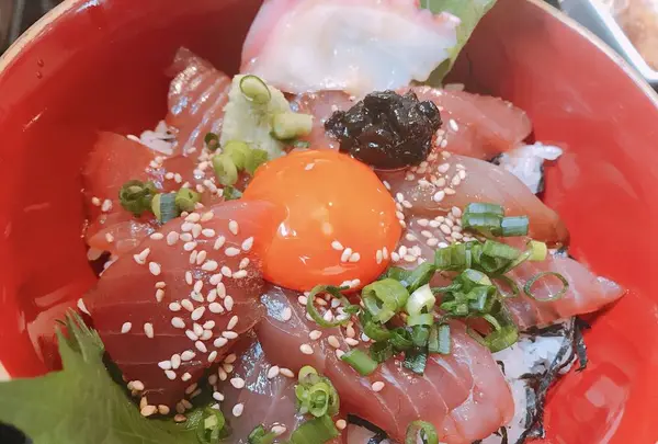 ぎょ魚蔵部の写真・動画_image_535786