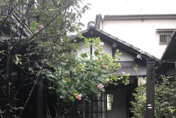 上野桜木あたりの写真・動画_image_535988
