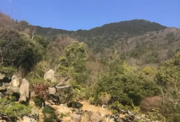 野呂山の写真・動画_image_536431