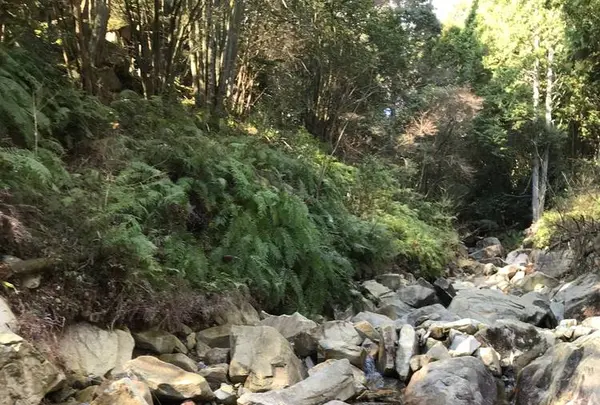 野呂山の写真・動画_image_536437