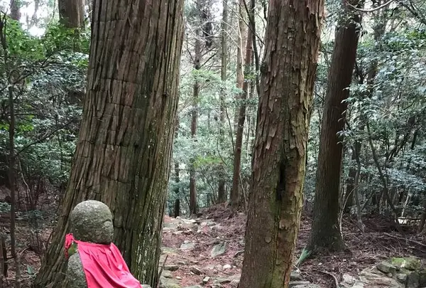 野呂山の写真・動画_image_536440