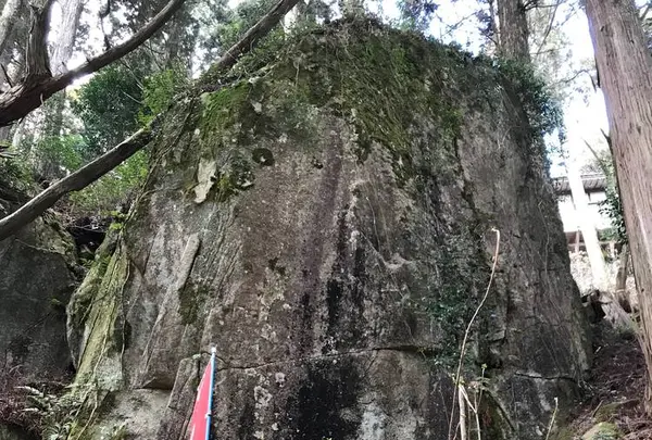 野呂山の写真・動画_image_536441