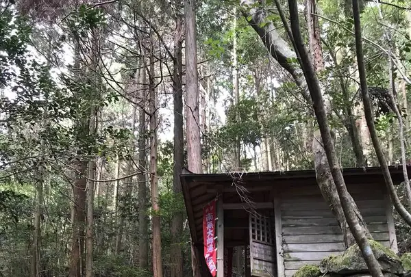 野呂山の写真・動画_image_536442