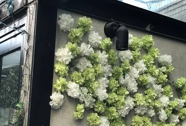 ジンジャーガーデンアオヤマの写真・動画_image_536951