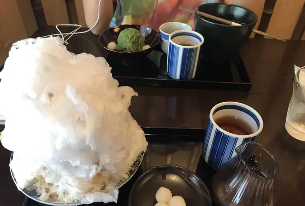 つぼみの写真・動画_image_538928