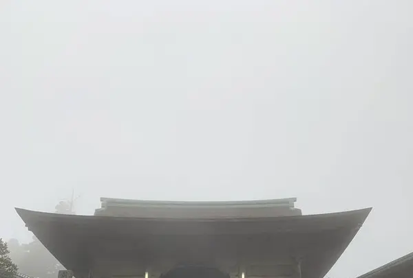 金山出石寺の写真・動画_image_540832