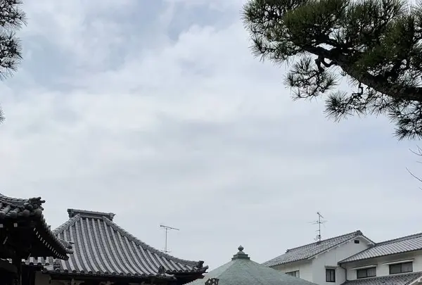 文殊院の写真・動画_image_540843