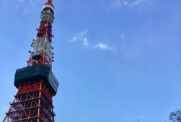 芝とうふ屋 うかいの写真・動画_image_541421