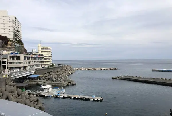 熱海サンビーチの写真・動画_image_541683