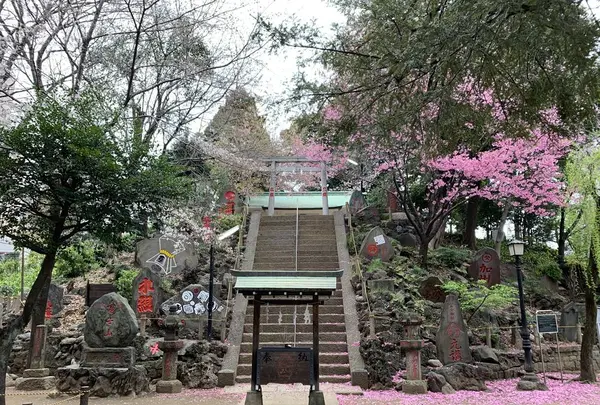駒込富士神社の写真・動画_image_542086