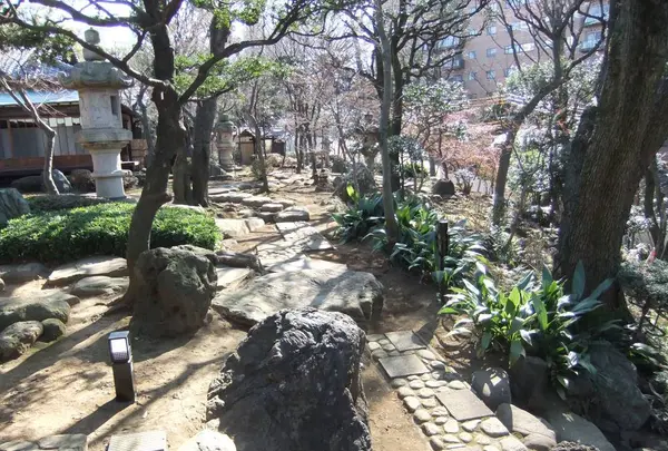 旧朝倉家住宅の写真・動画_image_542373