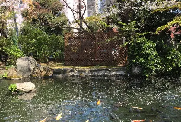 愛宕神社の写真・動画_image_543522