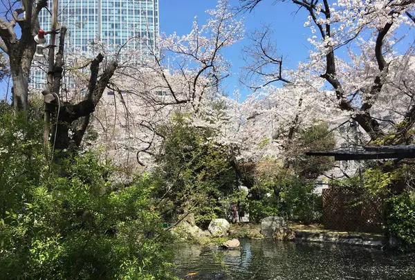 愛宕神社の写真・動画_image_543523