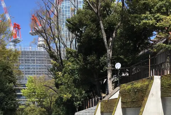 愛宕神社の写真・動画_image_543628