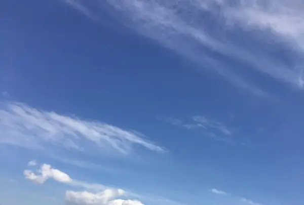 ふもとっぱらの写真・動画_image_545153