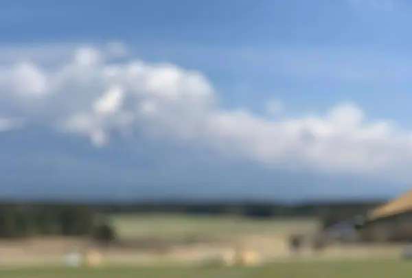 ふもとっぱらの写真・動画_image_545155