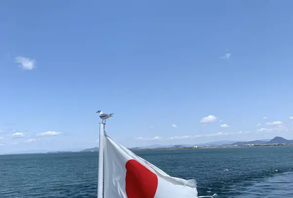 ミシガンクルーズの写真・動画_image_546011
