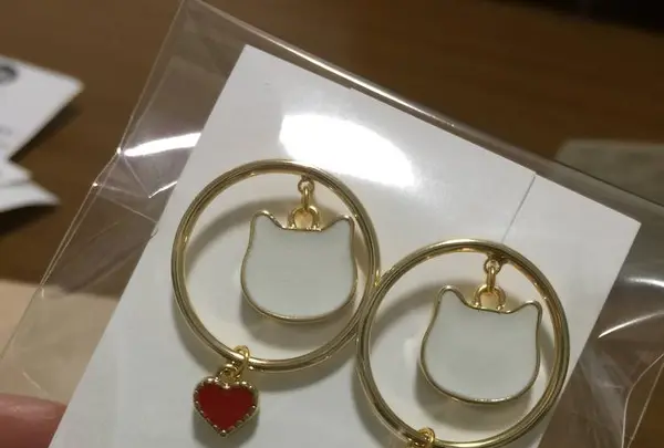 CRAFY Glänta（CRAFY吉祥寺）の写真・動画_image_546165