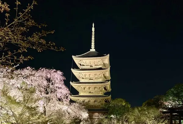 東寺（教王護国寺）の写真・動画_image_546390