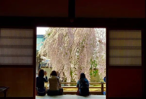 高台寺の写真・動画_image_546395