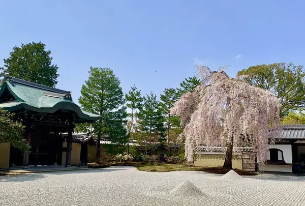 高台寺の写真・動画_image_546396