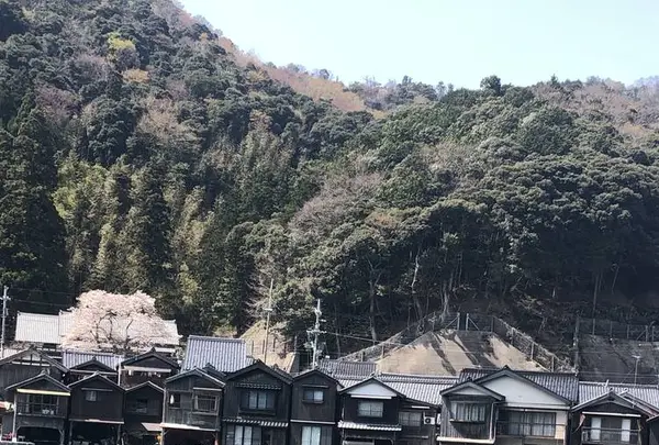 伊根の舟屋の写真・動画_image_546468