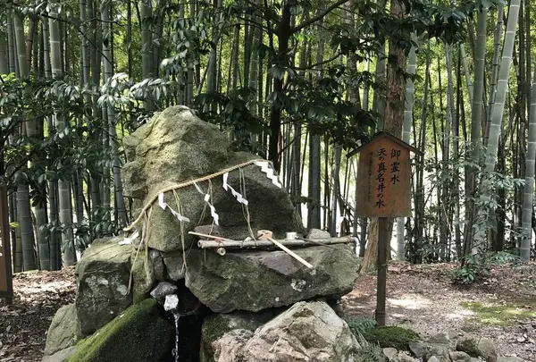 真名井神社の写真・動画_image_546480
