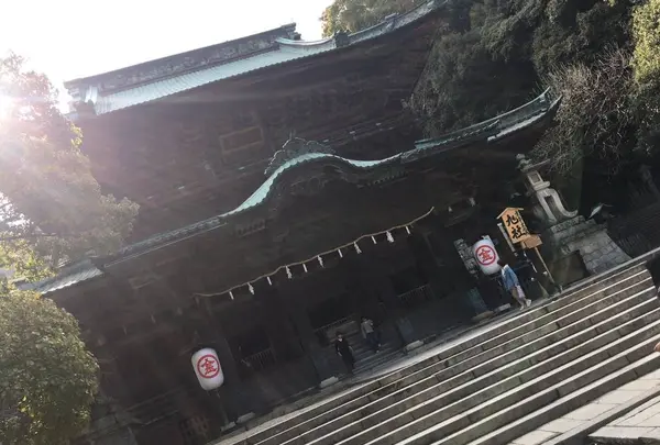 金刀比羅宮（こんぴらさん）の写真・動画_image_546778