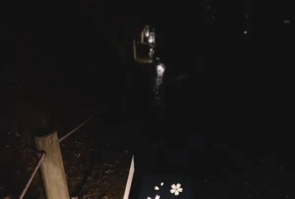 元離宮 二条城の写真・動画_image_546787