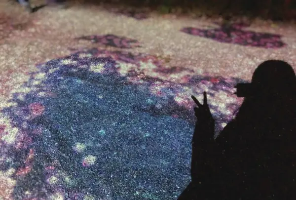 元離宮 二条城の写真・動画_image_546788