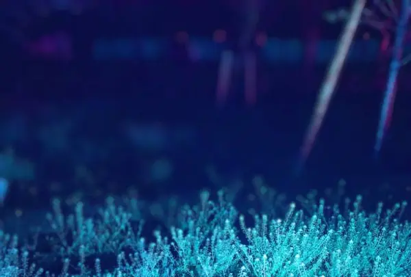 元離宮 二条城の写真・動画_image_546789