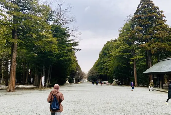 北海道神宮の写真・動画_image_547643