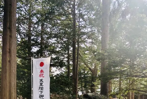 北海道神宮の写真・動画_image_547644