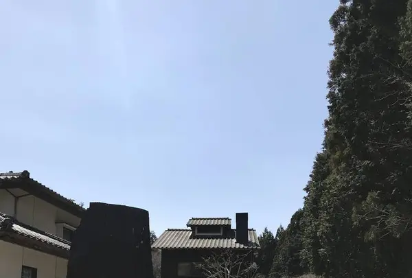 どんぐり11の写真・動画_image_548925